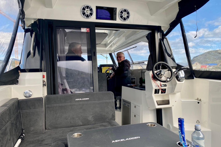 From Skjervøy: Whale Watching in a Heated Cabin Cruiser