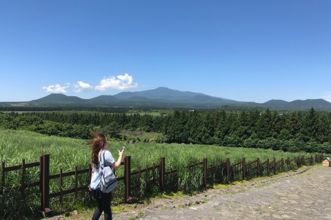 Île de Jeju : Visite guidée en van avec un guide qui aime le plus JEJU