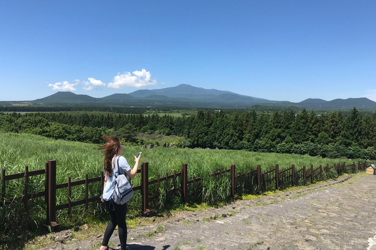 Île de Jeju : Visite guidée en van avec un guide qui aime le plus JEJU