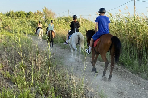 جزيرة رودس: ركوب الخيل على الشاطئ عند غروب الشمس