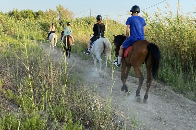 جزيرة رودس: ركوب الخيل على الشاطئ عند غروب الشمس