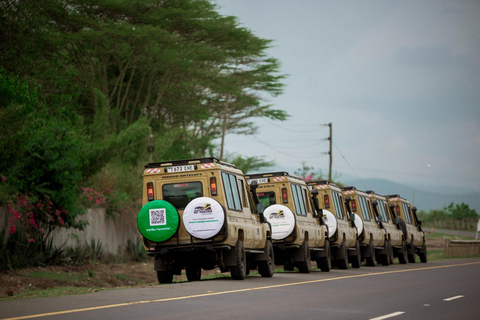 Zanzibar: 9-Day Spice Island & Safari Journey