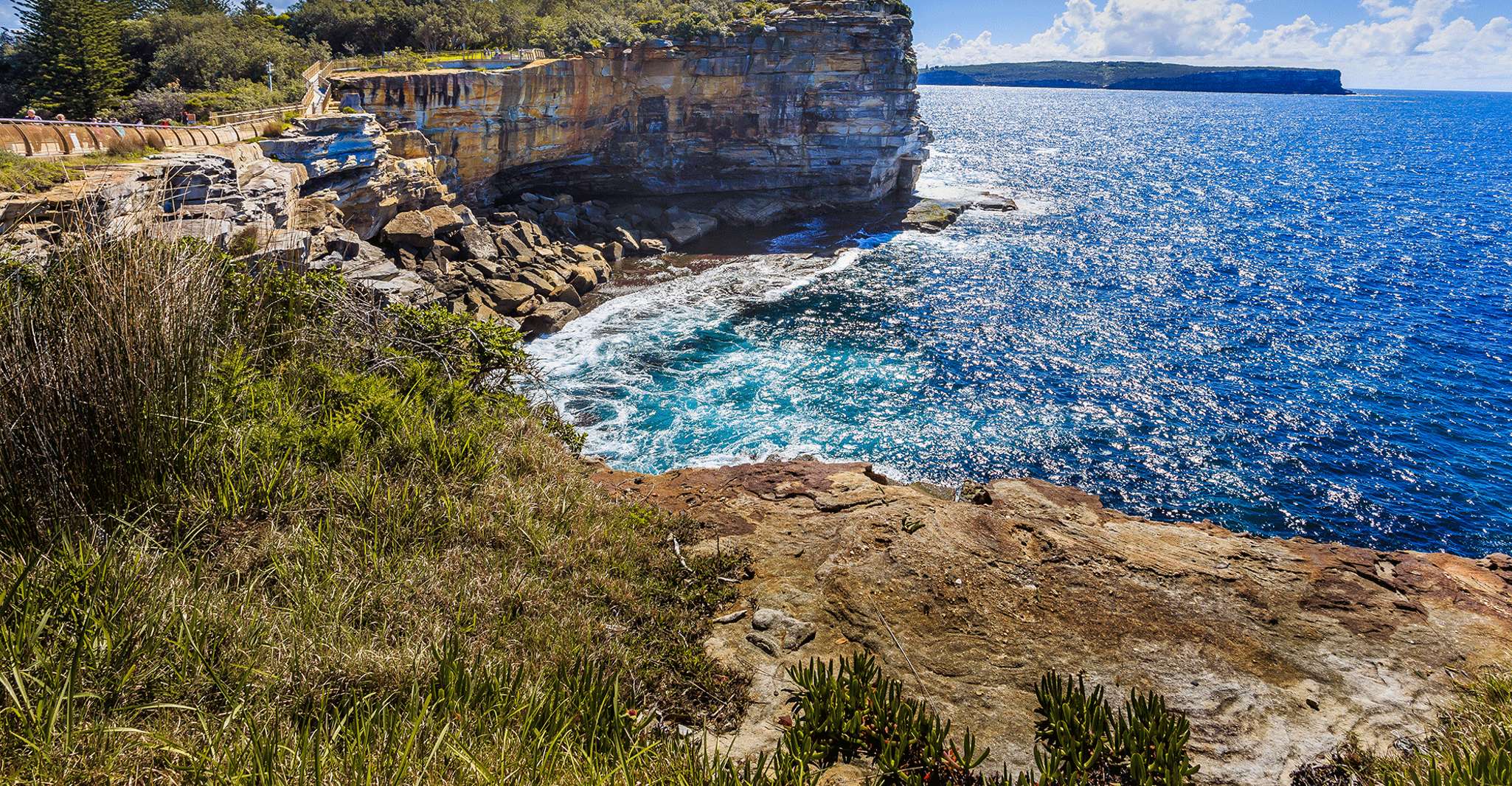 Sydney: City Highlights Private Half-Day Tour