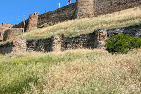 From Tbilisi: Gori Fortress and Stalin Museum Day Trip