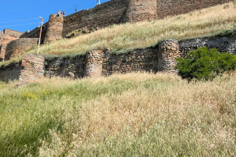 From Tbilisi: Gori Fortress and Stalin Museum Day Trip