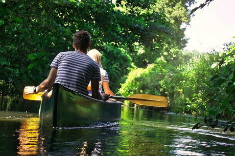 Lüneburg: Ilmenau Nature Route with Canoe or Kayak Rental Canoe Rental
