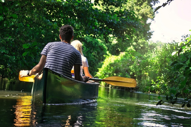 Lüneburg: Ilmenau Nature Route with Canoe or Kayak Rental Canoe Rental