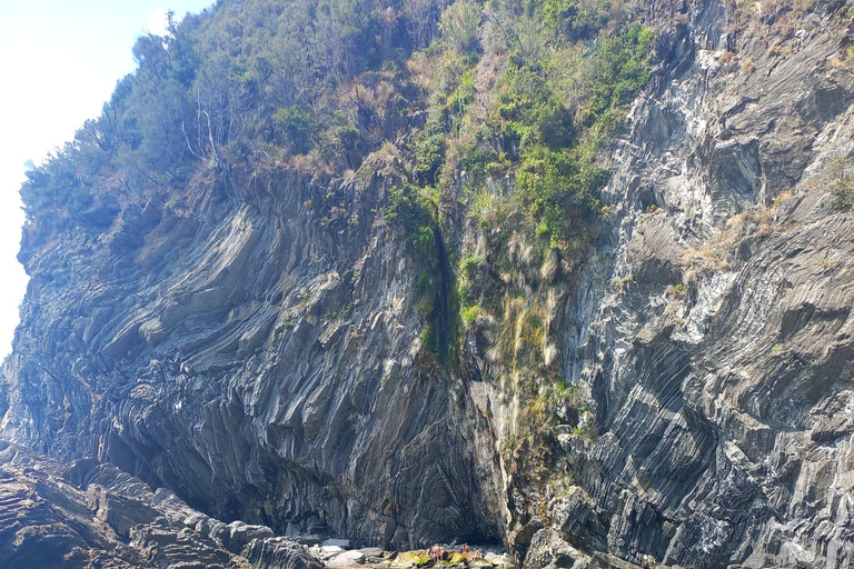 Vernazza: morning tour-afternoon-sunset aperitiv cruise tour 2-Hour Tour