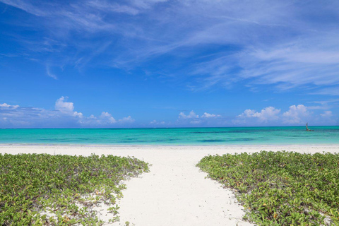 Jozani, Salaam, Seestern, Schnorcheln, The Rock, Kuza, PajeJozani, Salaam, Seesterne, Schnorcheln, The Rock, Kuza, Paje