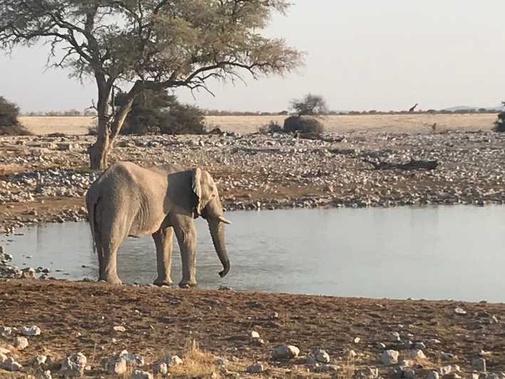 7 Day Namibia Northern Etosha Safari