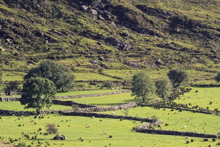 Iveragh Peninsula: Ring of Kerry Photo and Sightseeing Tour