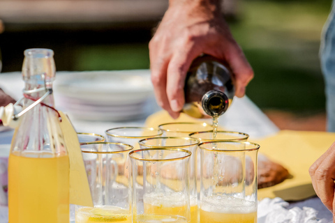 Rimini: San Leo Cashmere Farm Experience San Leo Cashmere: Grazing with the Shepherd