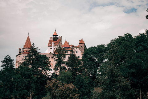 PRIVATE TOUR București : Miercuri, Dracula & Peleș 3 Castele