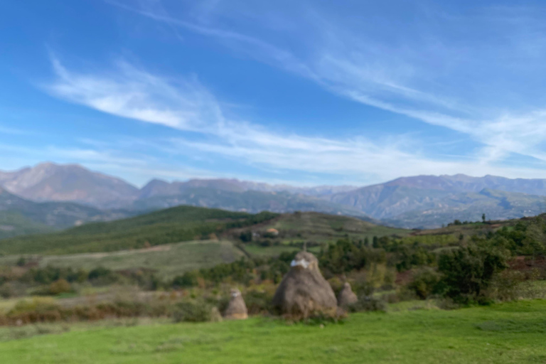 From Tirana/Durres: THINK GLOBAL, ACT AS A LOCAL