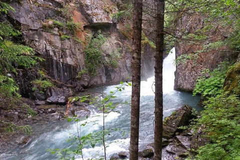 Bird Creek: Chugach State Park ATV Nature Tour & Hike Afternoon Adventure - Single ATV