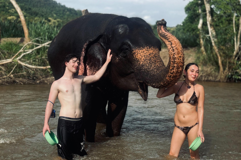 Chiang Mai: Elephant Sanctuary & Thai Cooking Workshop Meeting Point In Town