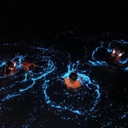 Krabi: Bioluminescent Plankton Night Swim Krabi: Bioluminescent Plankton Night Swim