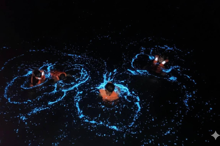 Krabi: Bioluminescent Plankton Night Swim