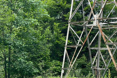 Boekarest: Top Gear Road en Bruine Beren Dagtour