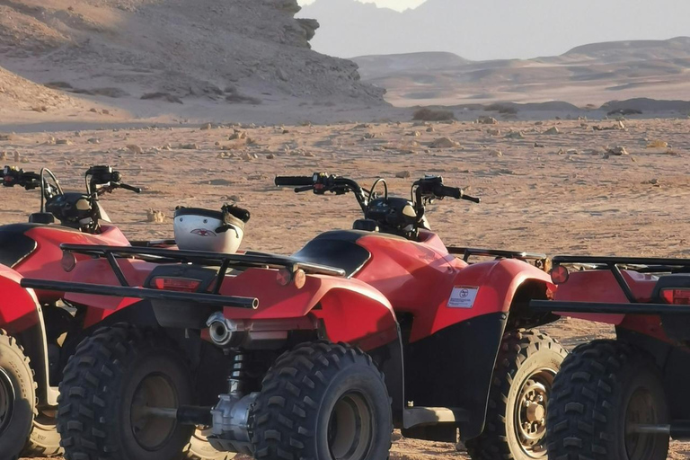 Doha: Desert Safari & City Tour from Hotel or Airport 6 Hour Sharing Tour