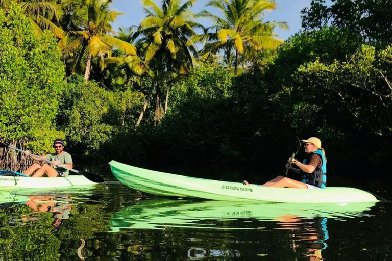 All-Inclusive Galle Dutch Fort, Koggala Lake & Kayak Tour From Tangalle: Galle Dutch Fort, Koggala Lake & Kayak