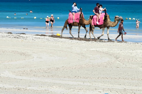 Djerba: 30-minute Express Camel Ride - Ideal for Children