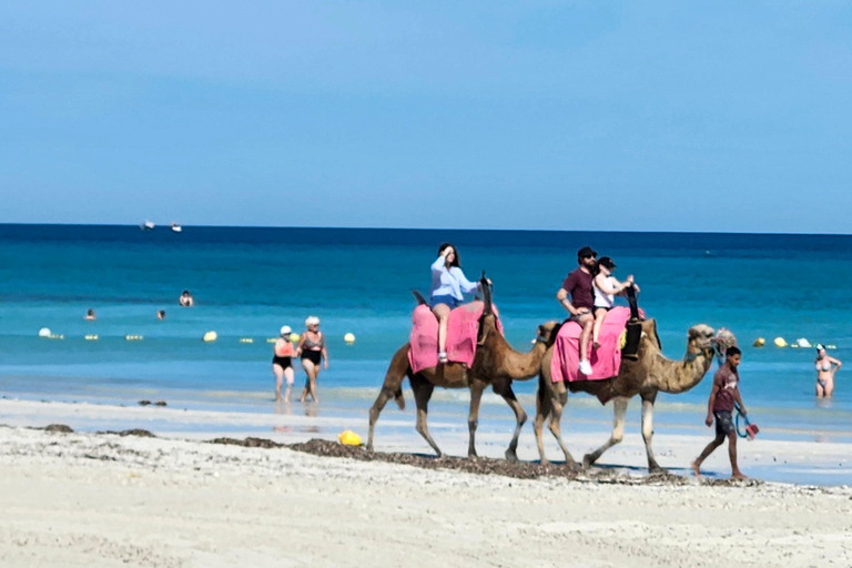 Djerba: 30-minute Express Camel Ride - Ideal for Children