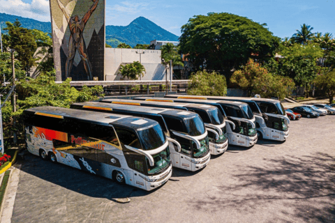 San Salvadorz: Convenient bus transfer from/to GuatemalaSingle from Guatemala to San Salvador