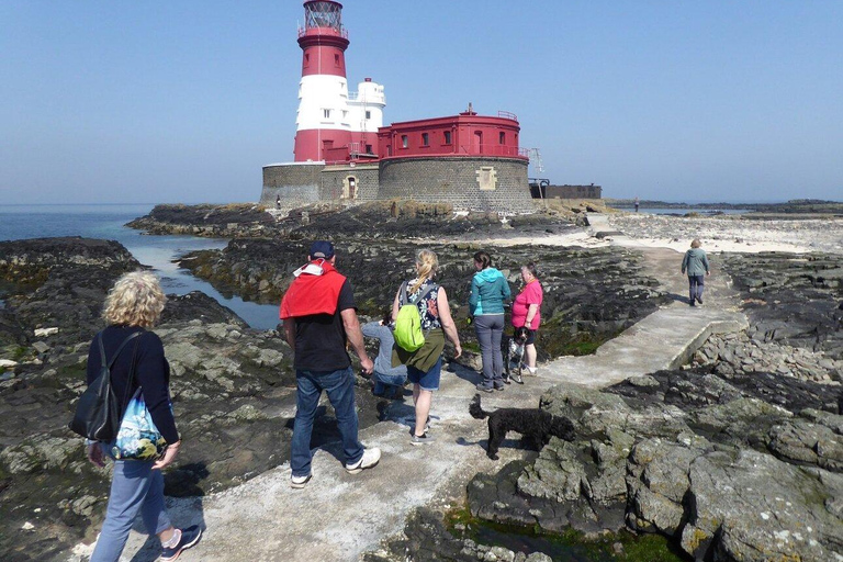 Seahouses: Longstone Lighthouse and Farne Islands Tour