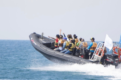 Tel Aviv: Tornado High Speed Thrill Boat Ride from JaffaTel Aviv: Tornado High Speed Thrill Boat Ride