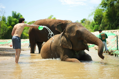 Chiang Mai: Jungle Jumbo Elephant Sanctuary with Waterfall