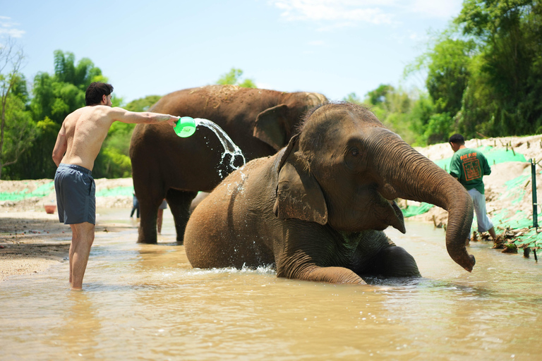 Chiang Mai: Jungle Jumbo Elephant Sanctuary with Waterfall