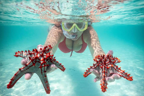 Hurghada: Excursión en barco a la Casa de los Delfines con snorkel