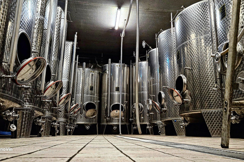 From Basel or Colmar: Baden-Württemberg Pinot Wine Tour