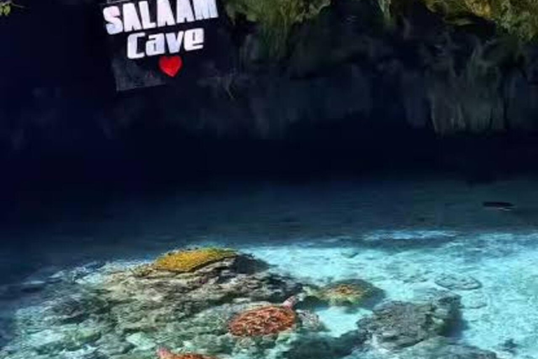 Zanzibar: Jaskinia Salaam i pływanie z żółwiamiTa opcja nie obejmuje transportu.