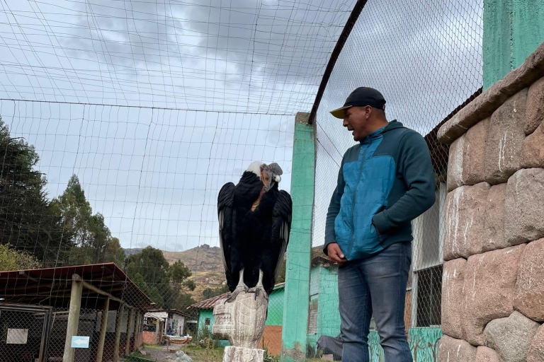Cusco: Santuario de animales rescatados "cochahuasi".Privébezoek