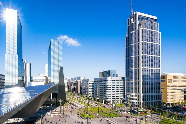 Lo Mejor de Róterdam: Visita privada a pie con un lugareñoVisita privada a pie por la ciudad - 2H