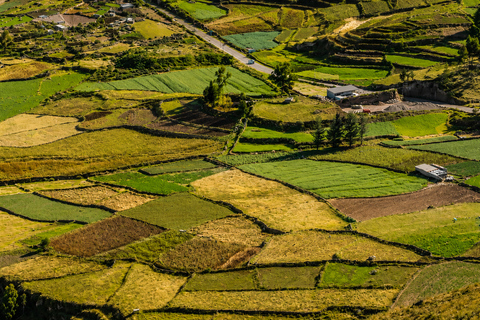 Arequipa to Puno: Colca Canyon & Chivay Community Homestay