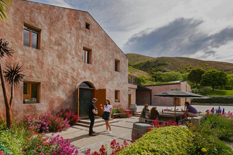 Queenstown: Premium Wine Tasting Tour