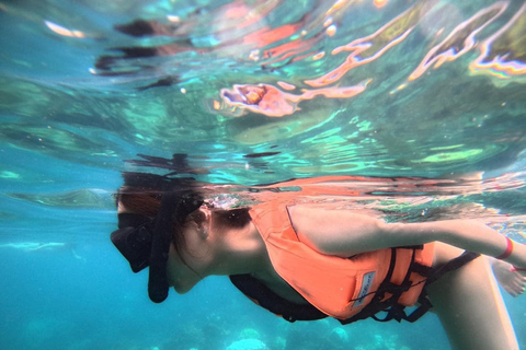 Koh Tao: Snorkeling Tour, Small-Group with Lunch & Transfer