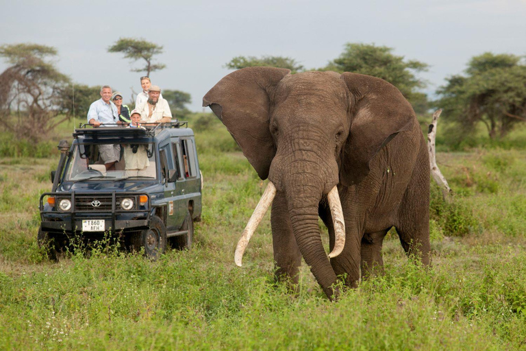 Safari clássico de 7 dias no Circuito do Norte