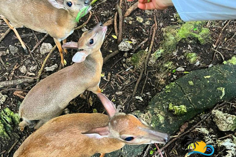 Sansibar: Tierschutz im Kilosa Zoo &amp; Dau-Fahrt bei Sonnenuntergang