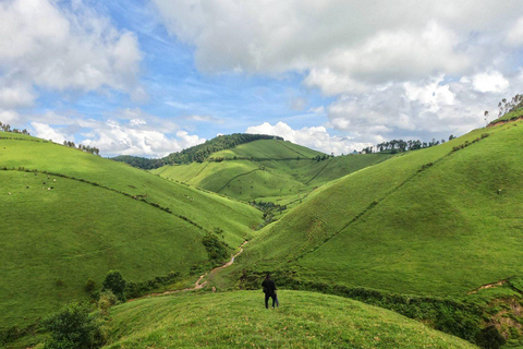 Lake Kivu Cruise, Coffee Tour, and Cooking Class