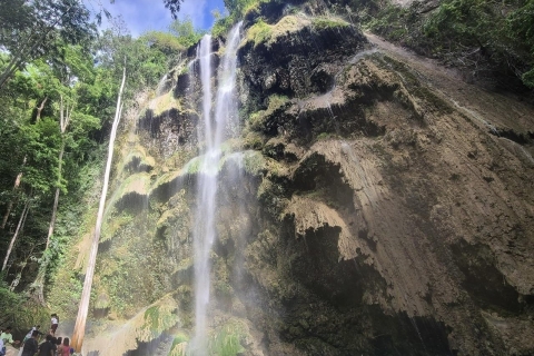 Cebu: Walhai & mysteriöser Wasserfall PrivattourSchnorcheln mit Walhai & geheimnisvolle Wasserfall-Tour