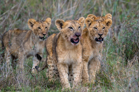 El Parque Nacional de Nairobi