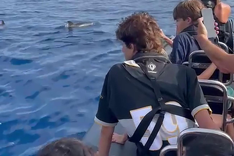 Boat Trip to Corvo and Island Sightseeing Tour