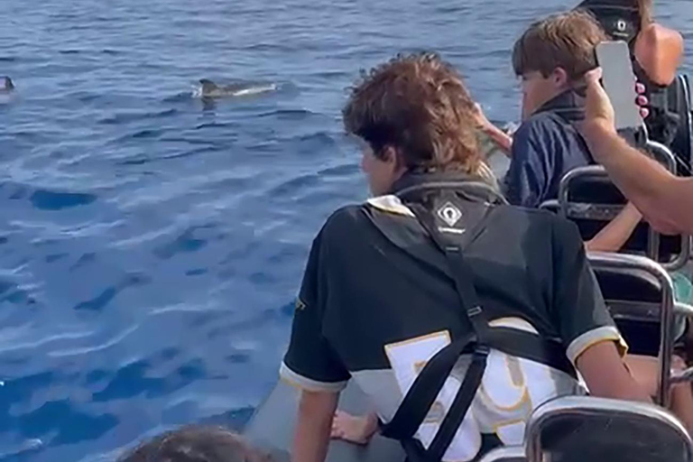 Boat Trip to Corvo and Island Sightseeing Tour