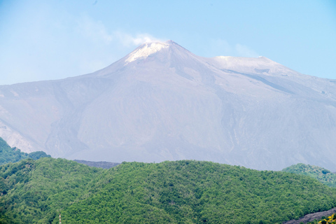 Wine Tasting at a Mount Etna Vineyard from Taormina Let's go! Wine tasting at a vineyard on Mount Etna from Taormina