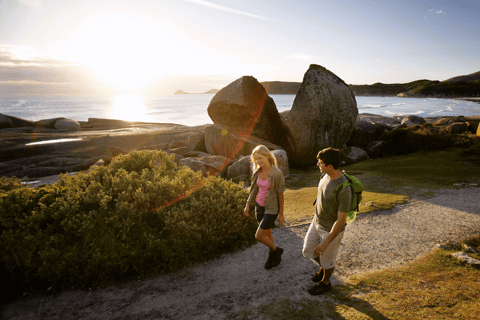 威尔逊海角国家公园全天生态游威尔逊岬国家公园全日游