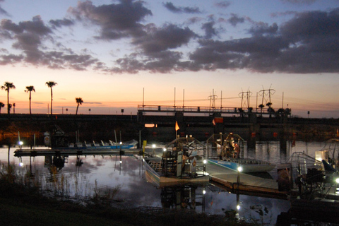 From Miami: Everglades Night Tour with Airboat Ride